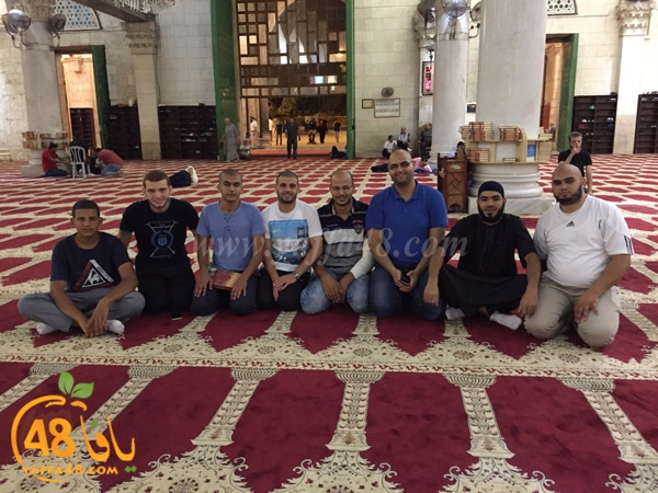 yaffa rebatt3 (14).jpg